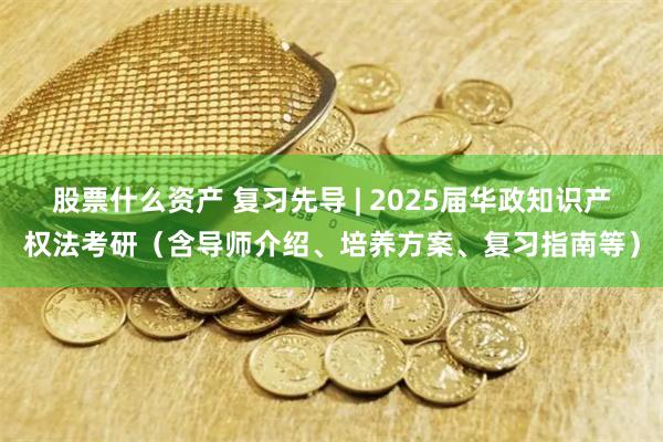 股票什么资产 复习先导 | 2025届华政知识产权法考研（含导师介绍、培养方案、复习指南等）